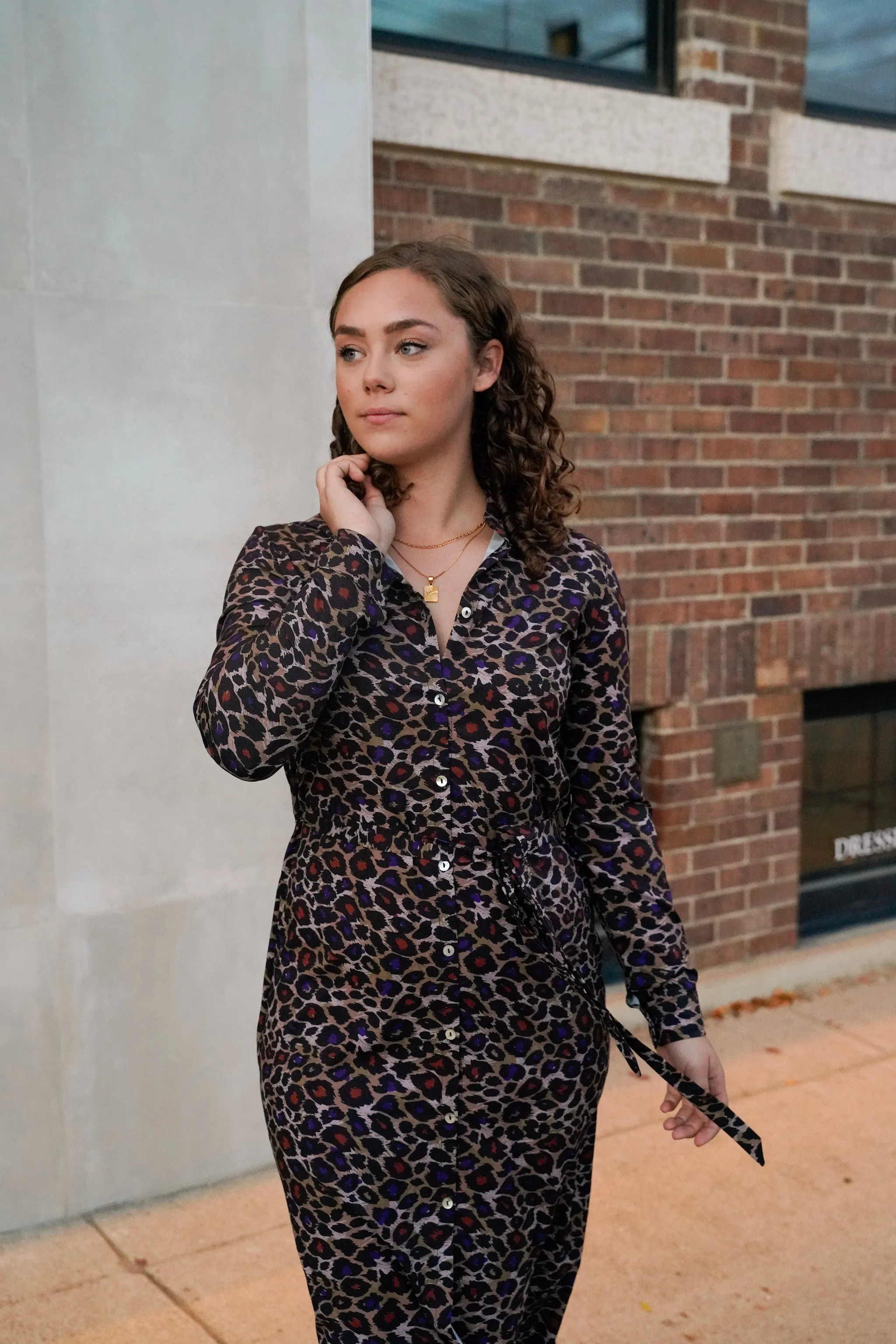 Animal Print Button Down Dress