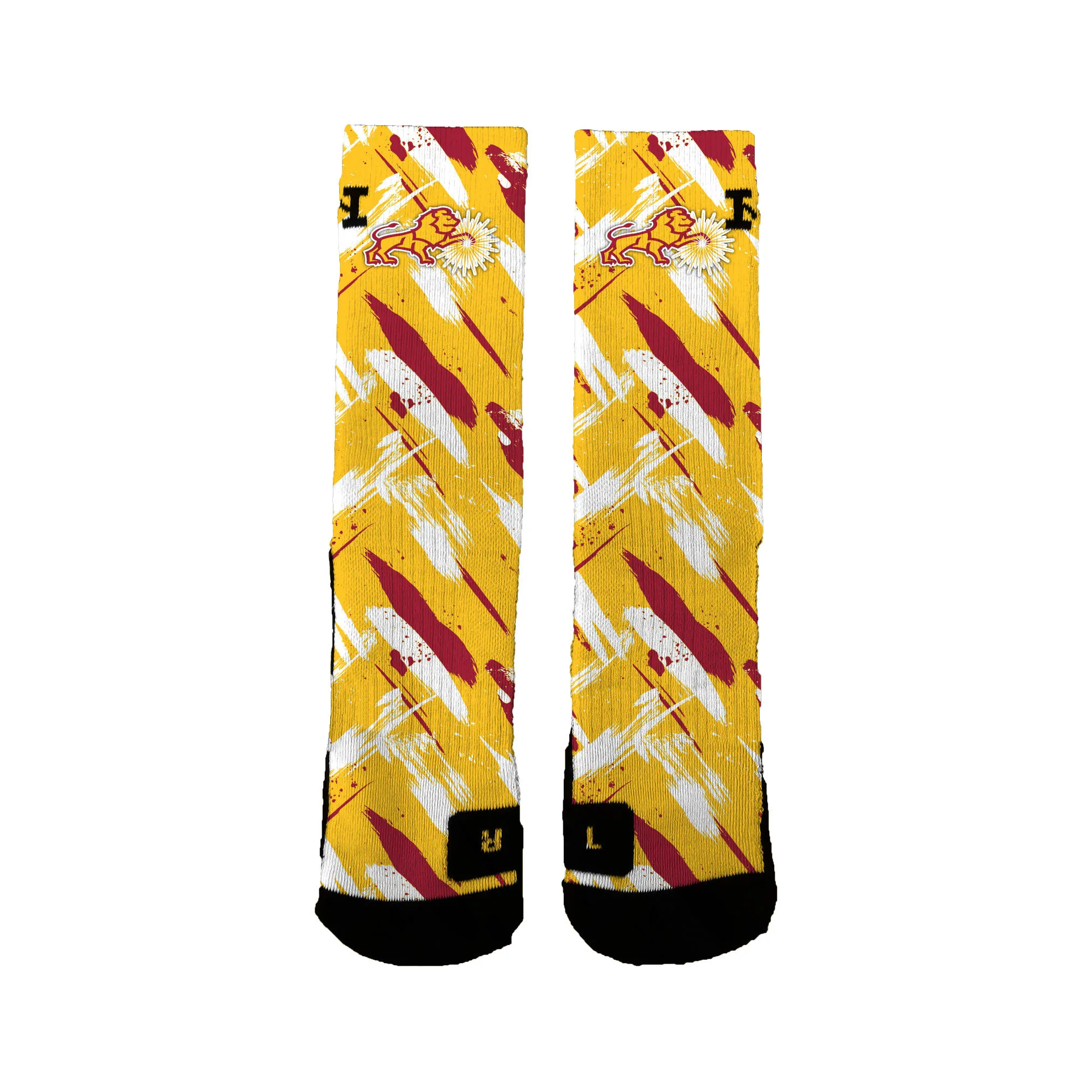 C.s. Lewis Academy  Paint Socks