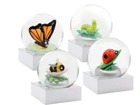 Mini Bugs Snow Globe Set