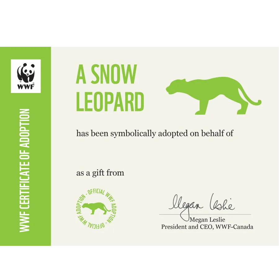 Snow leopard adoption card