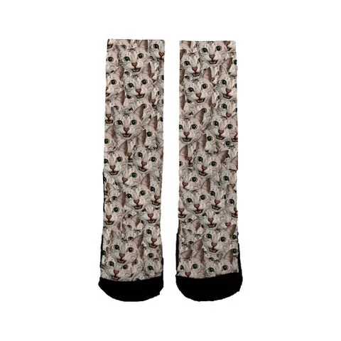 Thomas Hixson Cat Class Socks