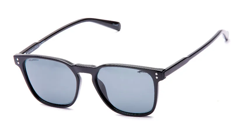 Windward Polarized Sunglasses